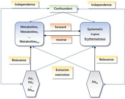 Exploring the causal correlations between 486 serum metabolites and systemic lupus erythematosus: a bidirectional Mendelian randomization study
